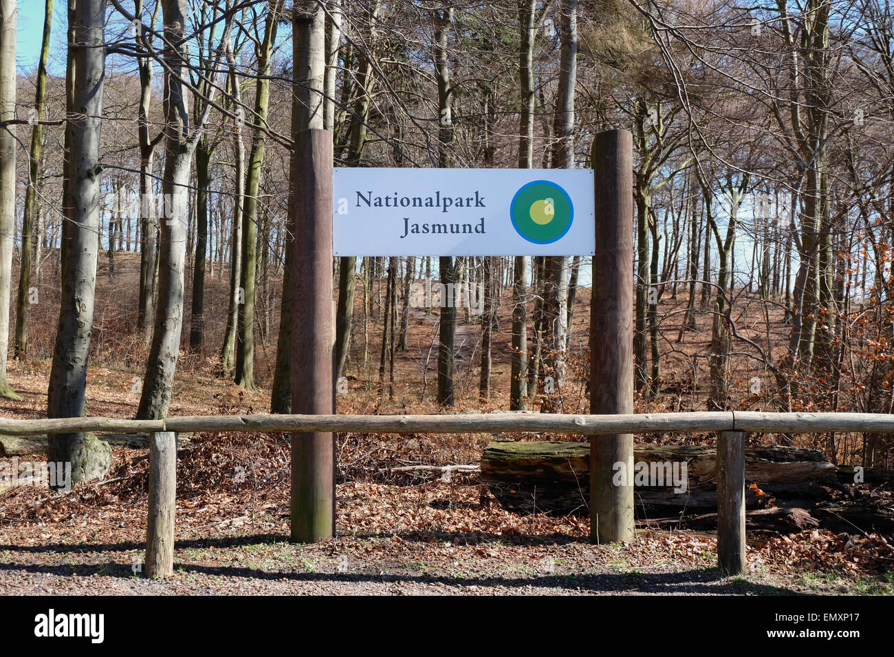 SASSNITZ, GERMANY - APRIL 3, 2015: Beech forest of Jasmund National Park at the Island of Rugen, Mecklenburg-Vorpommern, Germany Stock Photo