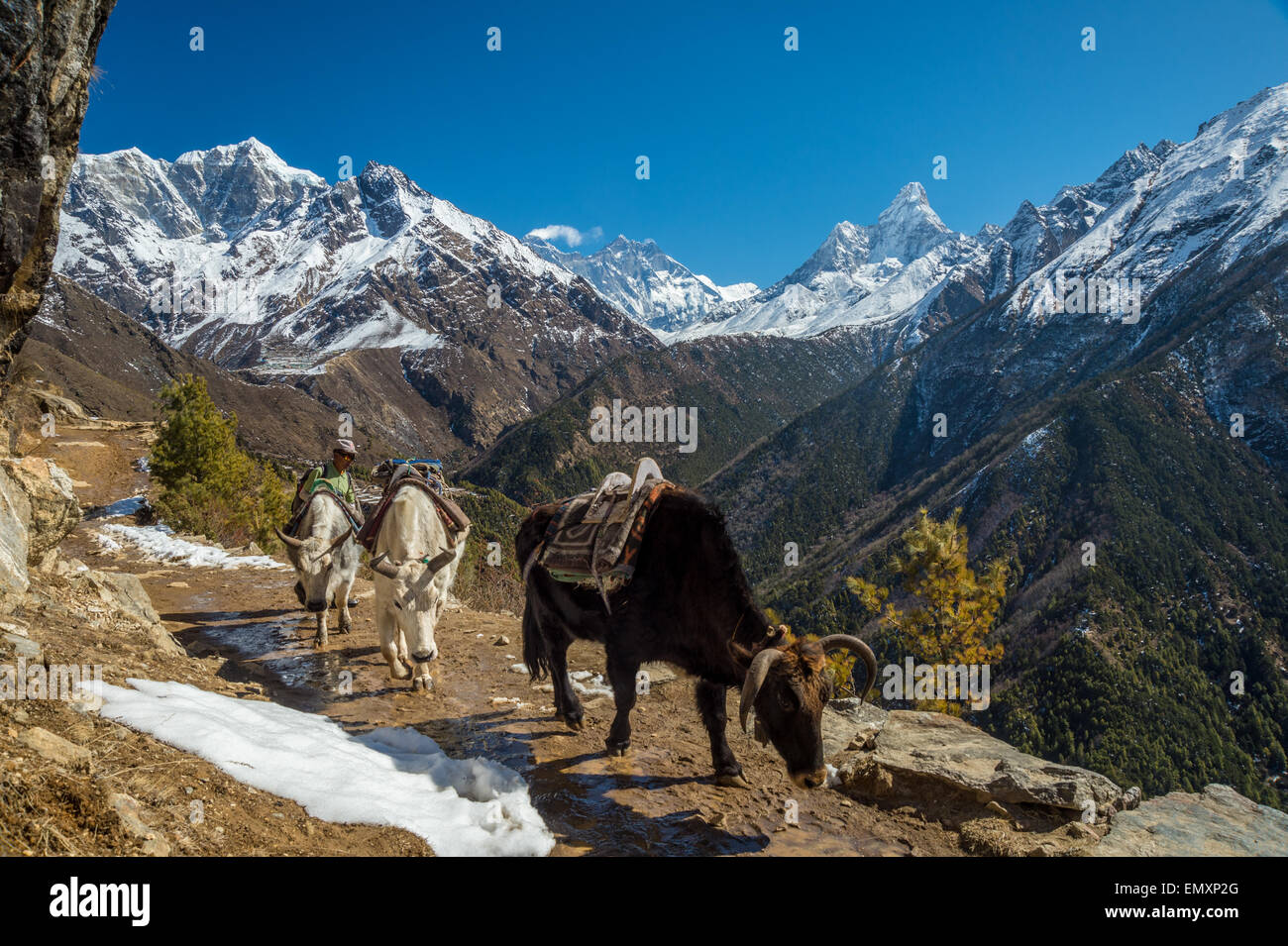 Himalaya mountain range hi-res stock photography and images - Alamy