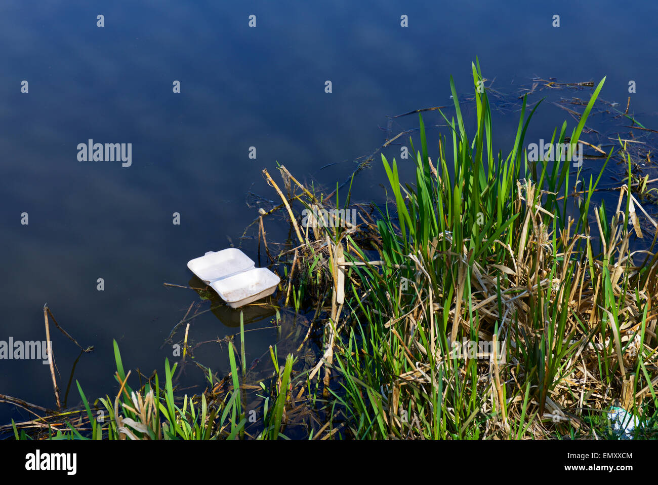 Litter in canal, England UK Stock Photo