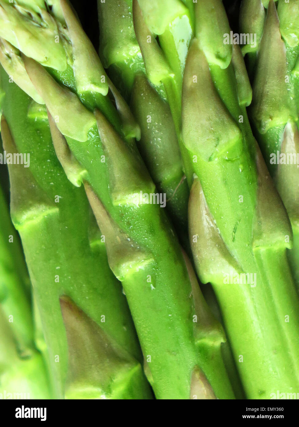 Fresh, green asparagus close-up Stock Photo