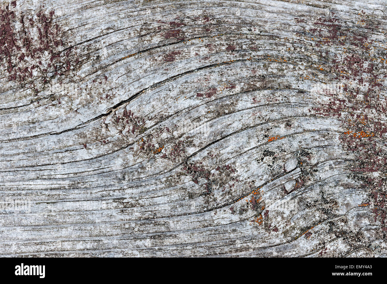 Woodgrain texture hires stock photography and images Alamy