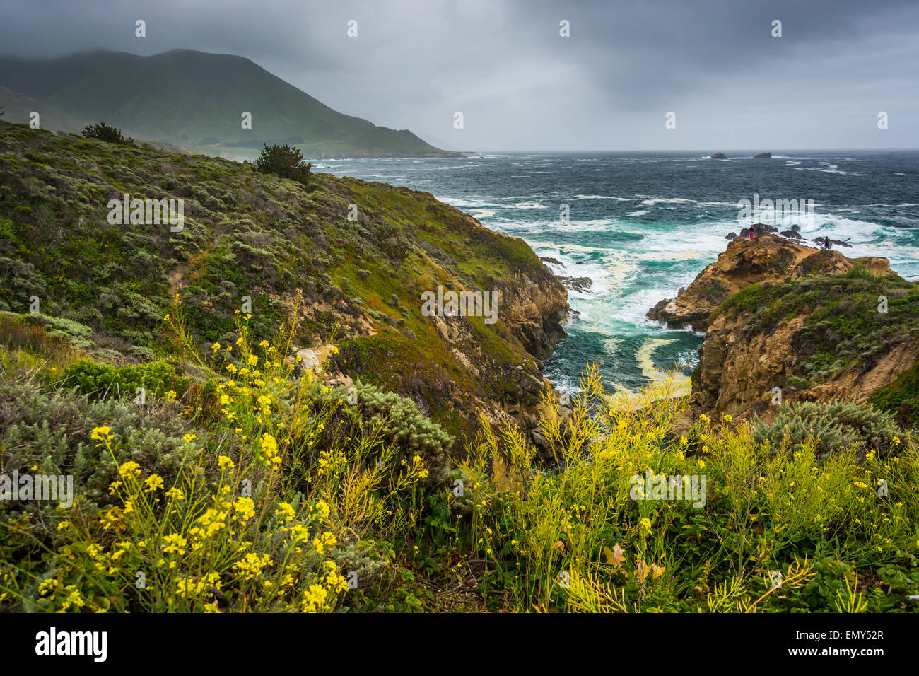 Yellow flowers and view of the Pacific Ocean at Garrapata State Park, California. Stock Photo