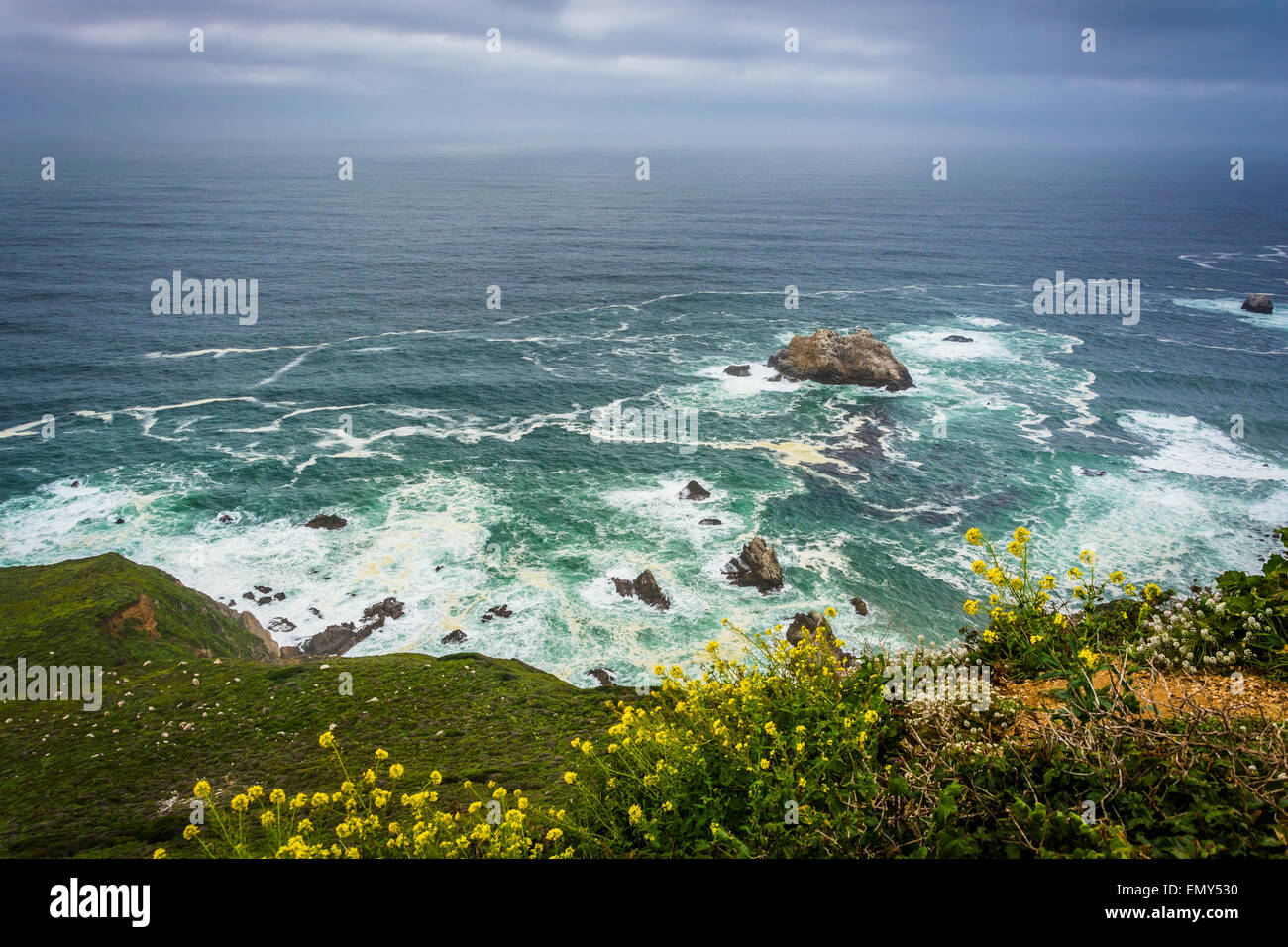 Yellow flowers and view of the Pacific Ocean, in Big Sur, California. Stock Photo