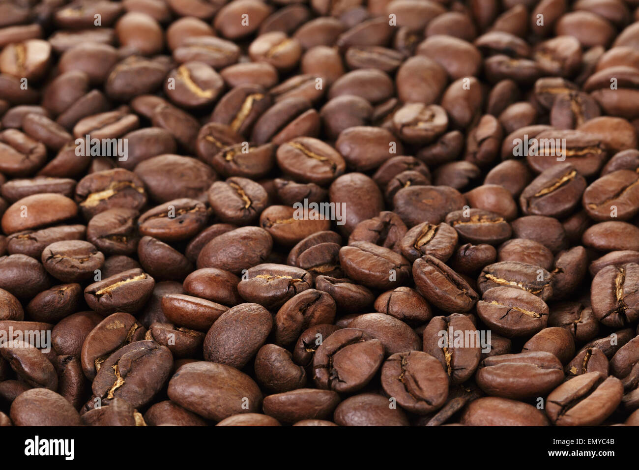 freshly roasted coffee beans closeup Stock Photo Alamy