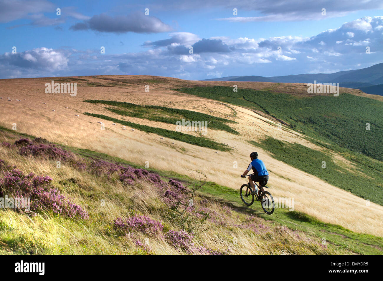 brecon beacons mtb