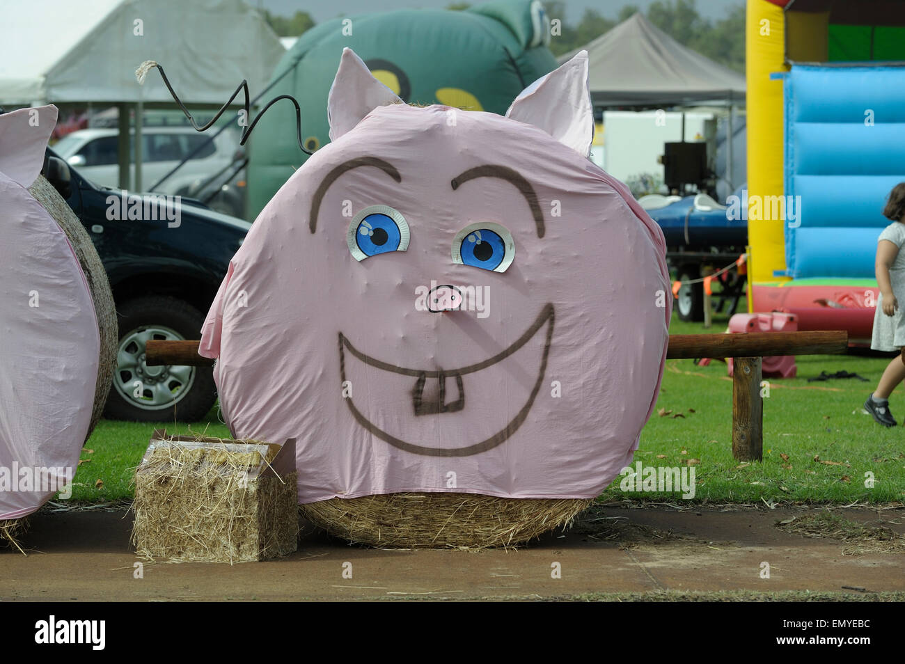 Round haystack decorated as a smiling pig. Stock Photo