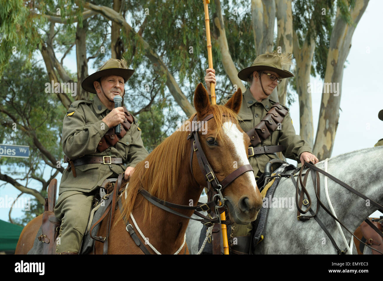 Australian Light Horse High Resolution Stock Photography and Images Alamy Australian Light Horse High Resolution Stock Photography and Images Alamy