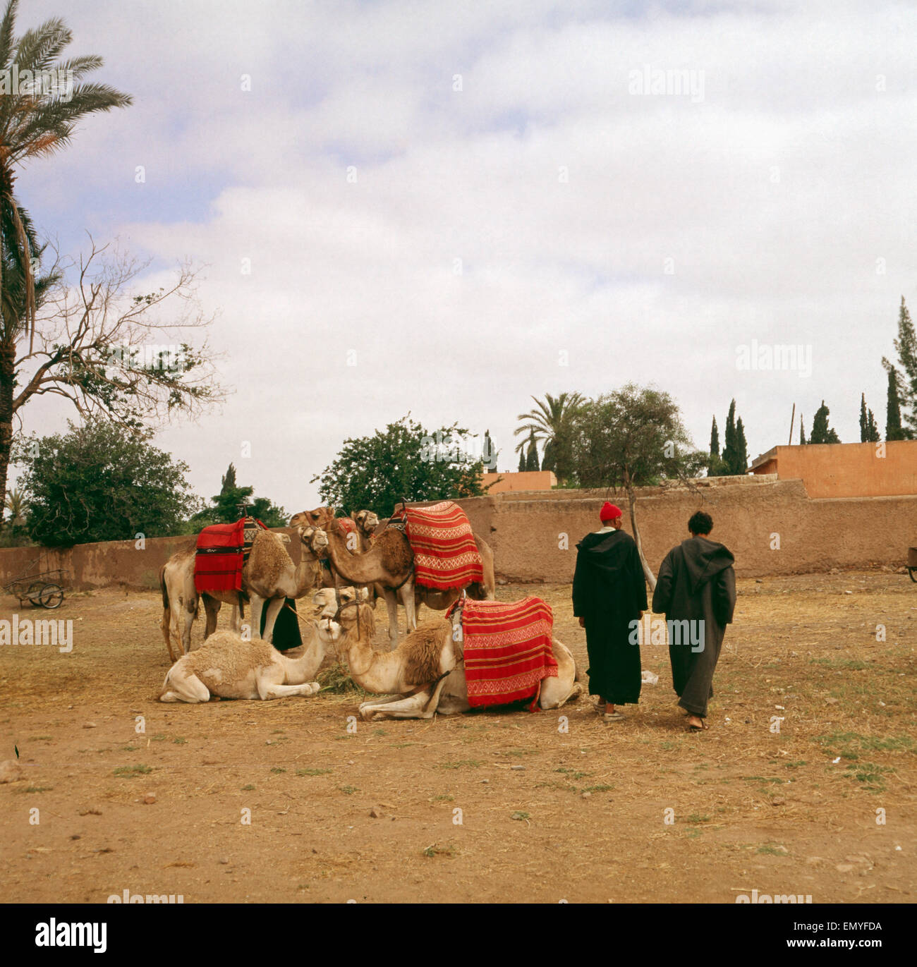 Eine Reise nach Marokko, 1980er Jahre. A trip to Morocco, 1980s Stock