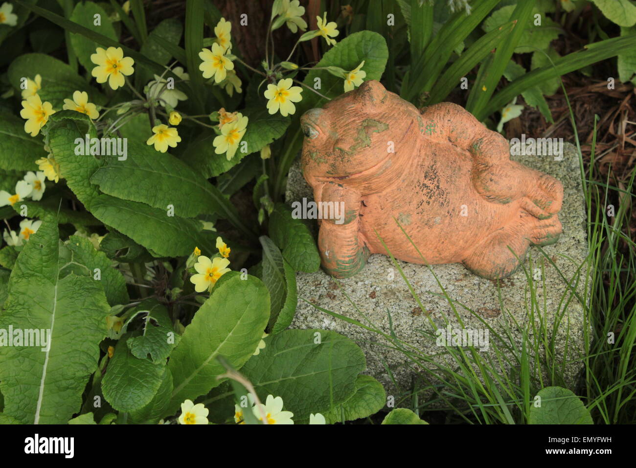 A small frog fishing with a fishing rod ornament in a green lake Stock  Photo - Alamy