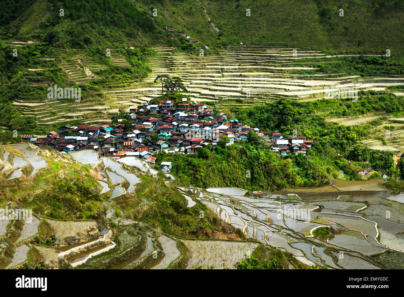 Amazing panorama view of rice terraces fields and village houses in Ifugao province mountains. Banaue, Philippines UNESCO herita Stock Photo