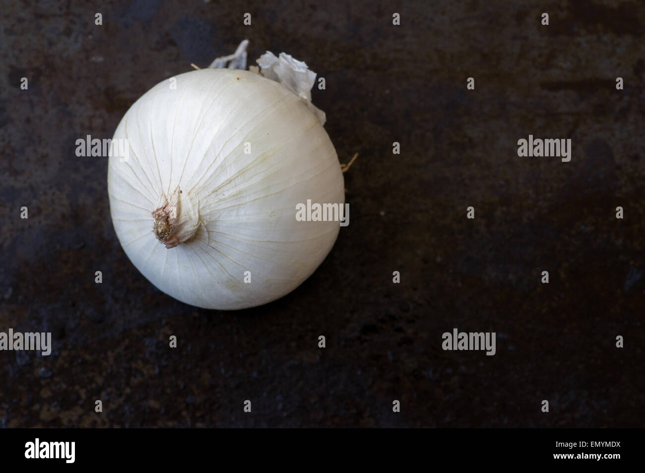 Onion top view hi-res stock photography and images - Alamy