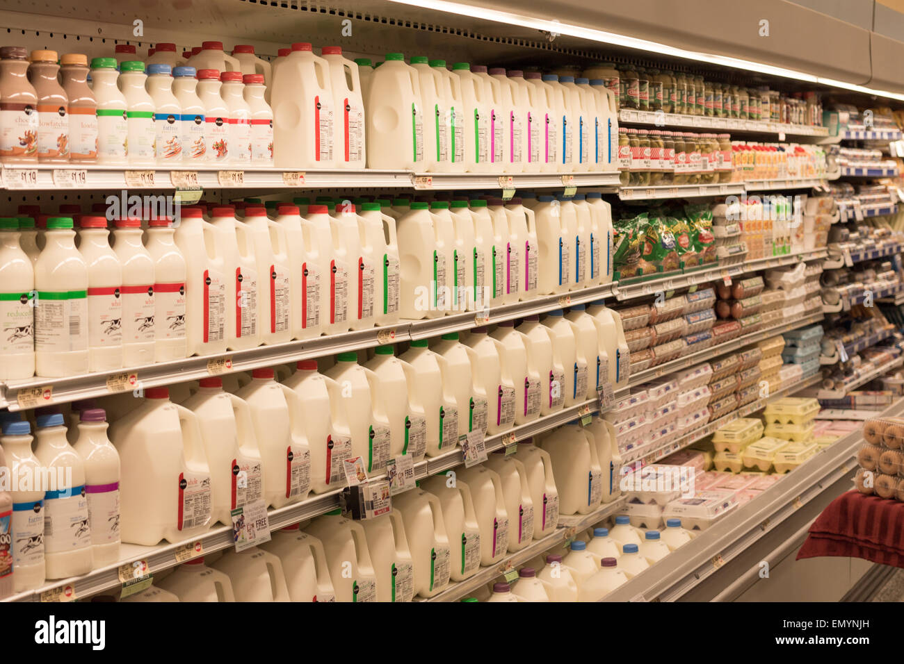 Fresh milk counter at a Publix supermarket Florida Stock Photo Alamy