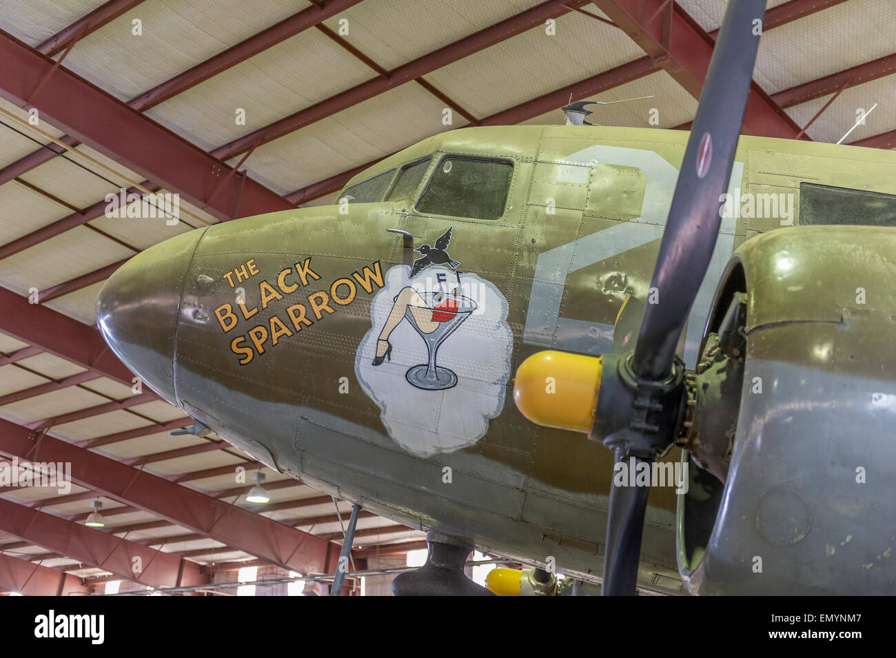 Douglas C-47 Skytrain, The Black Sparrow at The CAF Airpower Museum. Midland. Texas. USA Stock Photo