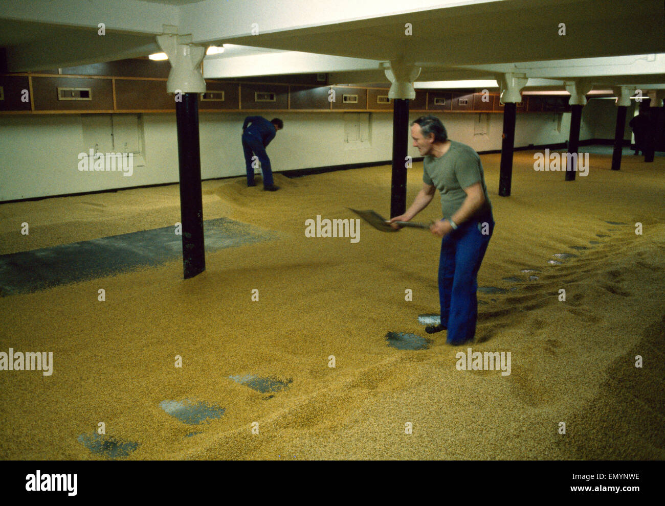 Maltsters turning malt in Langley Maltings, W. Midlands, 1980s Stock Photo