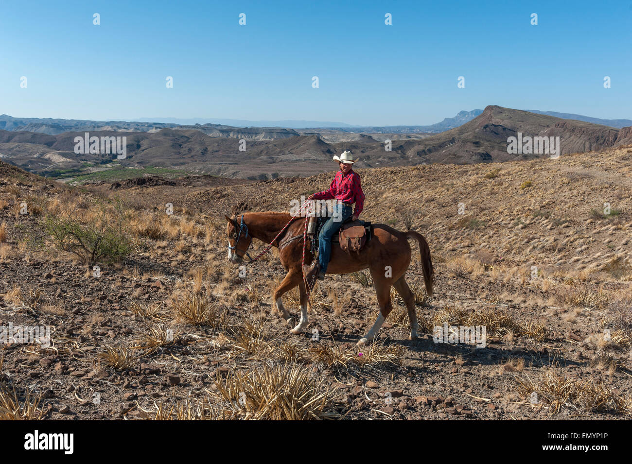 Horseback riding in Big Bend Ranch State Park. Texas. USA Stock Photo