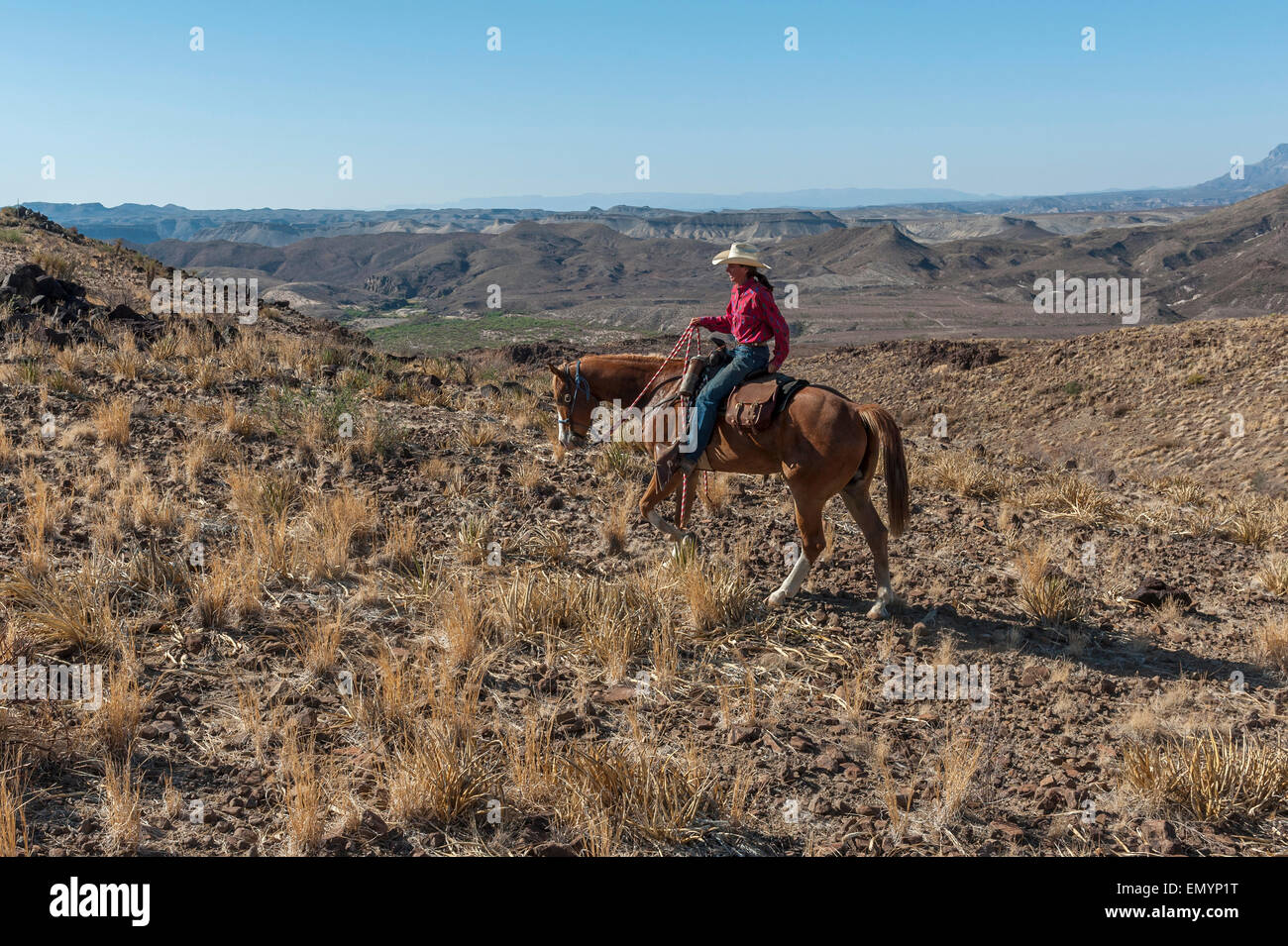 Horseback riding in Big Bend Ranch State Park. Texas. USA Stock Photo Alamy
