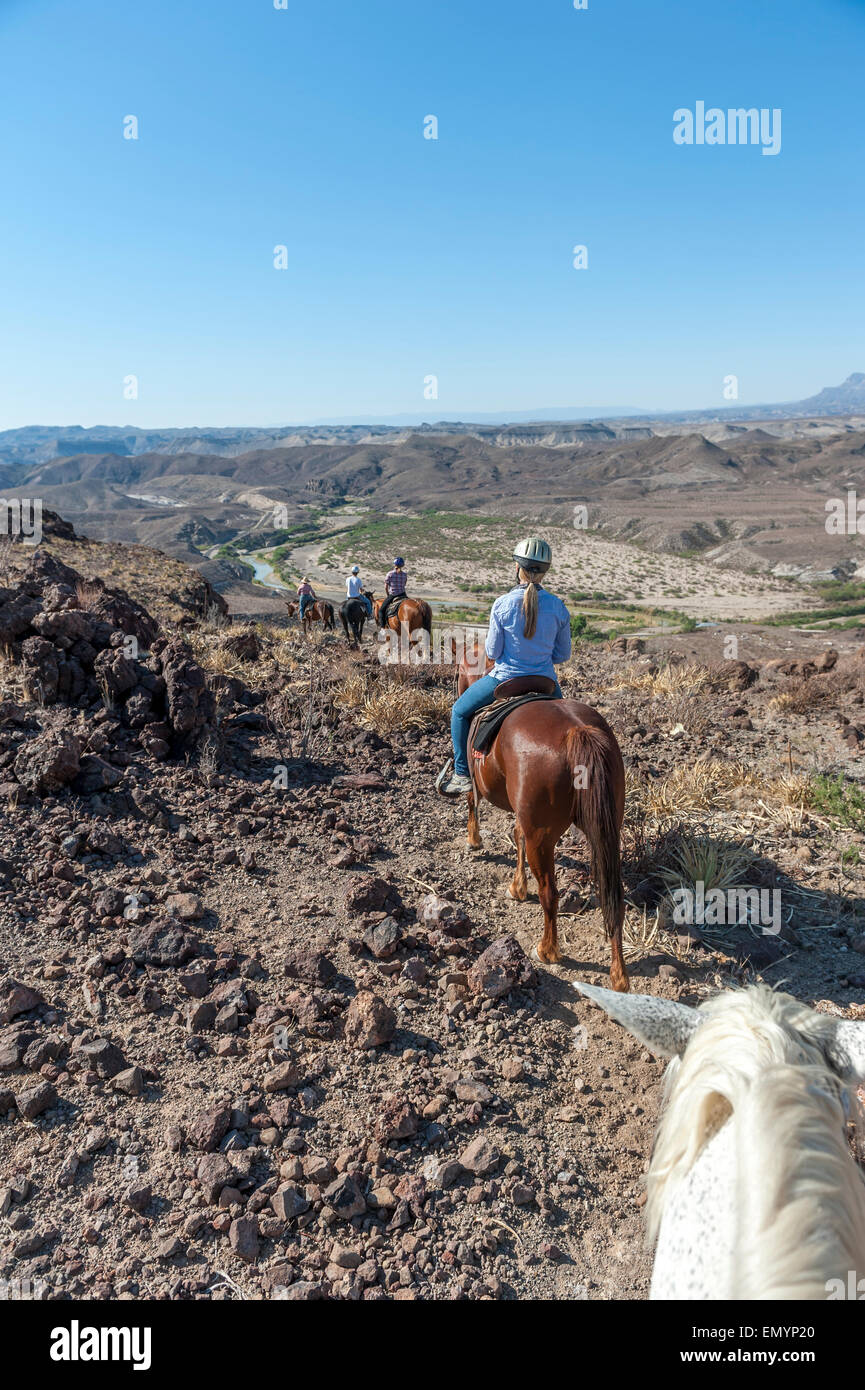 Horseback riding in Big Bend Ranch State Park. Texas. USA Stock Photo