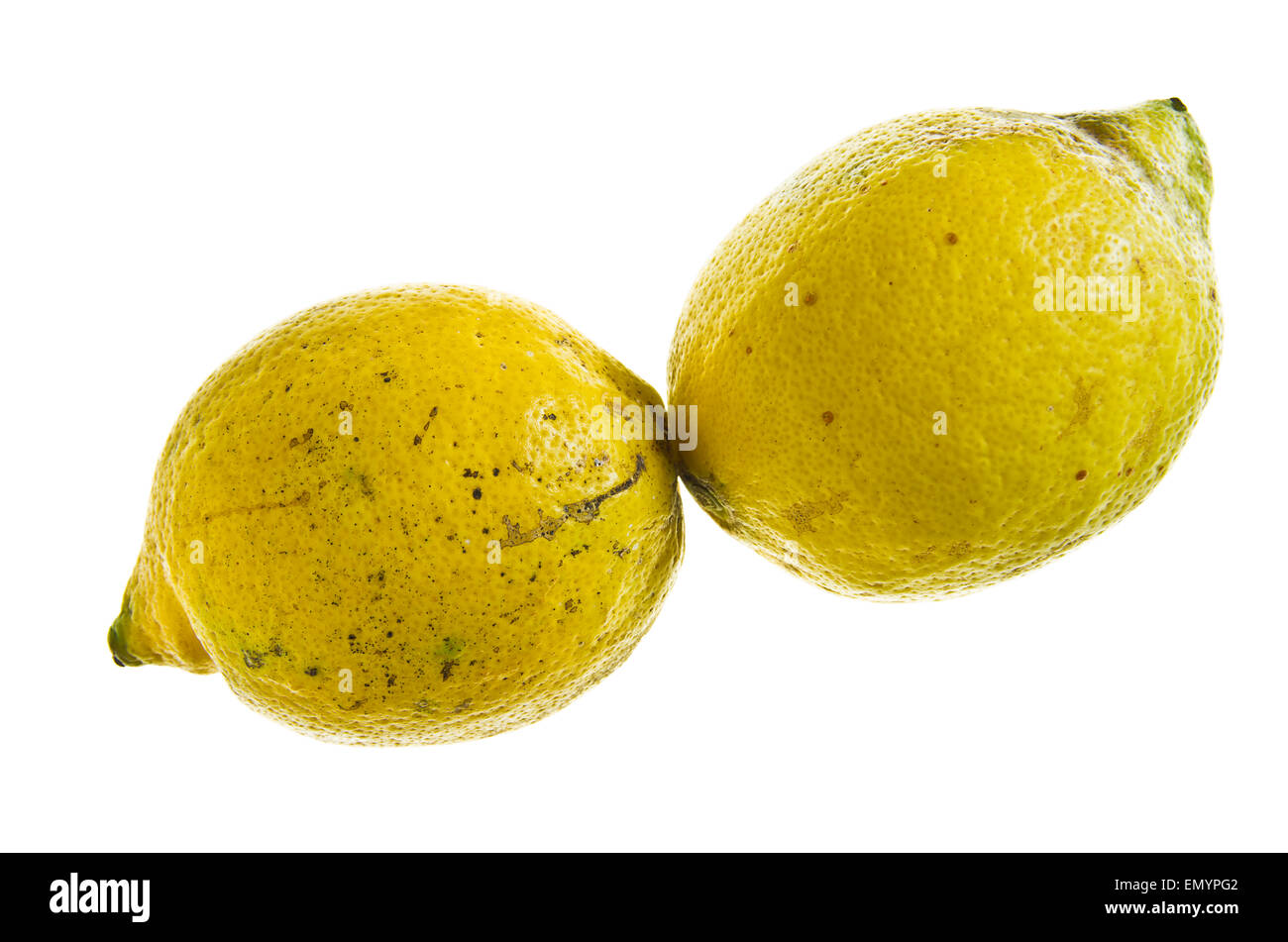 Two Lemons Stock Photo