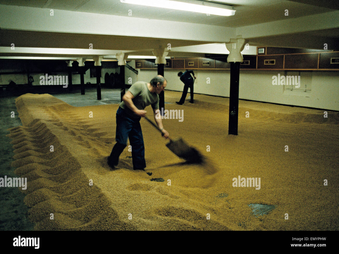 Maltsters turning malt in Langley Maltings, W. Midlands, 1980s Stock Photo