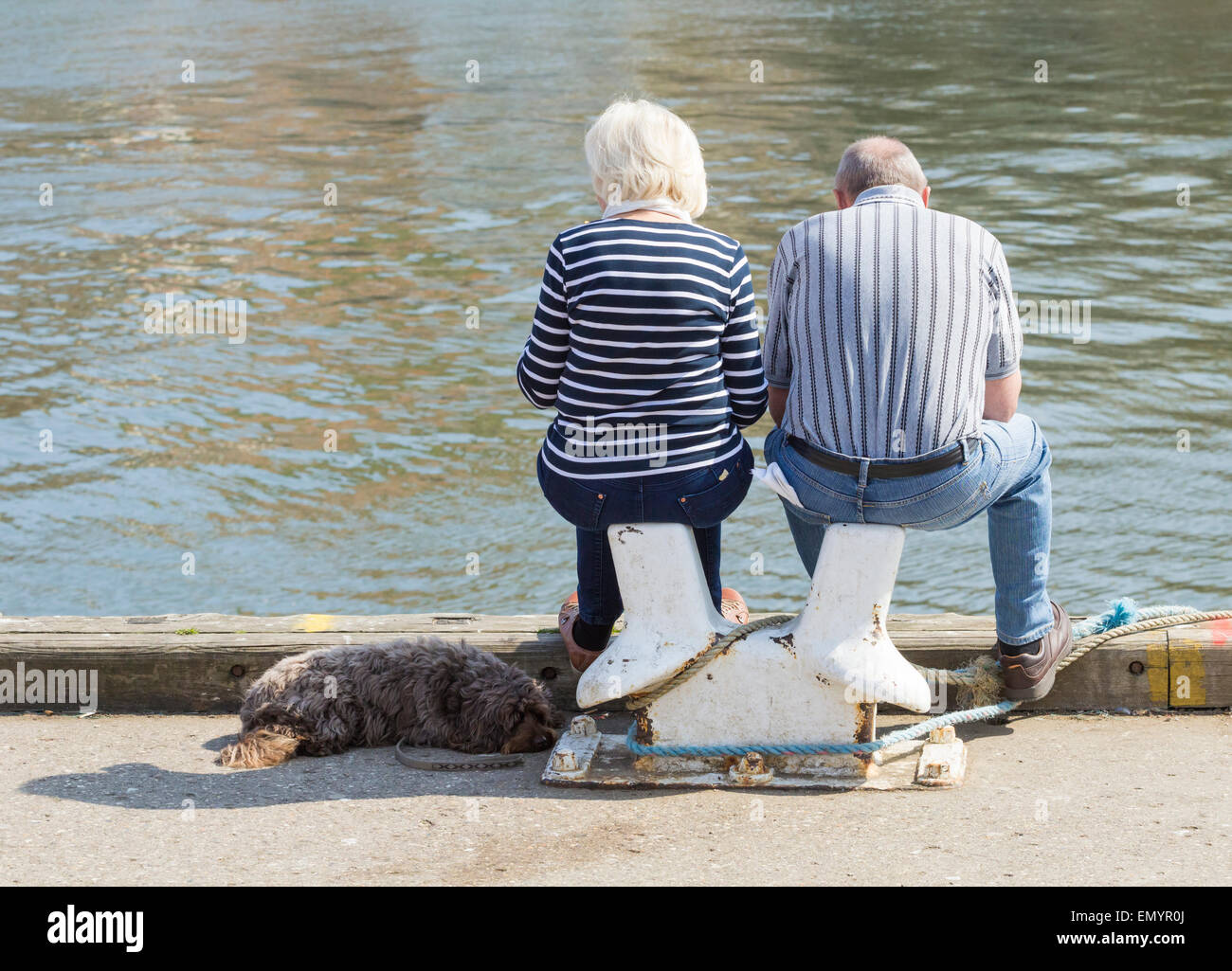 Rear view of mature couple with dog eating fish & chips ovelooking the