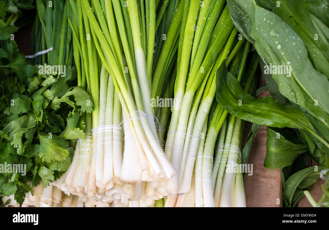 Spiced onions hires stock photography and images Alamy