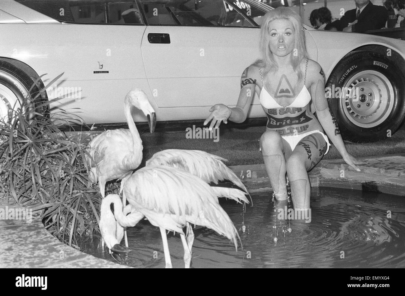Model from the British Road Safety campaign poses in a bikini with flamingoes at the 1971 Earls Court motor show 19th October 1971 Stock Photo