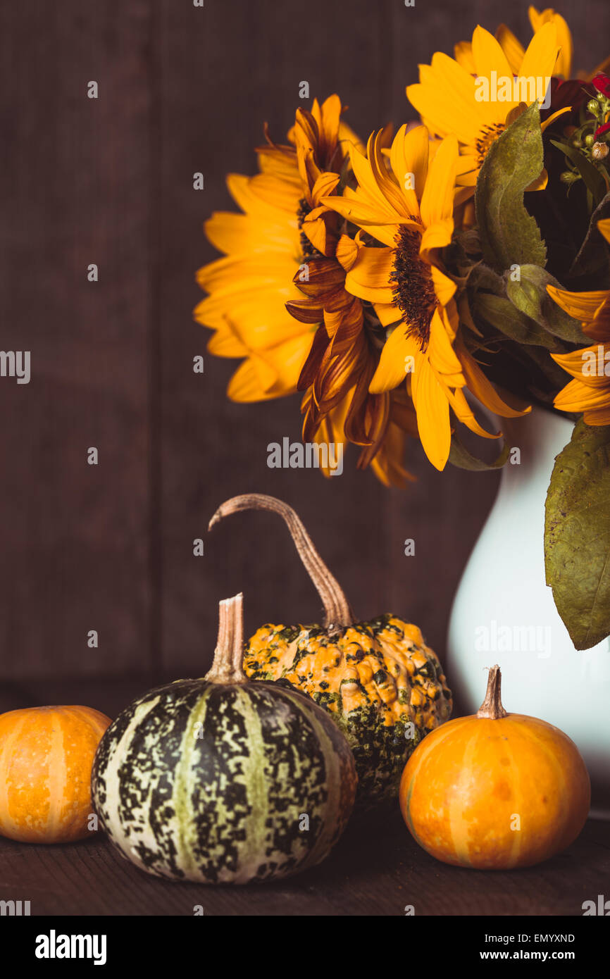Still life with pumpkins Stock Photo - Alamy
