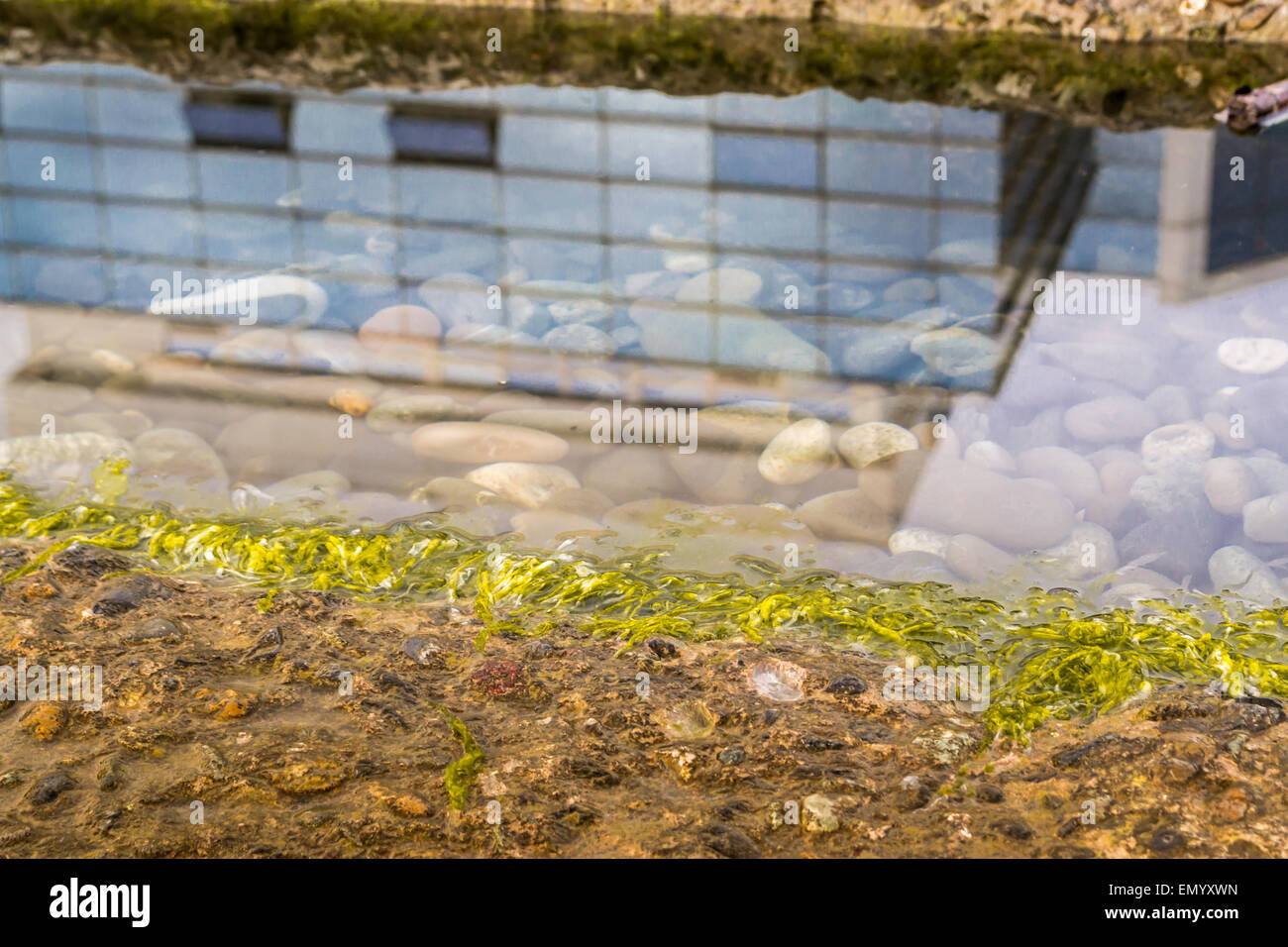 Small pool of water reflects an industrial office building Stock Photo