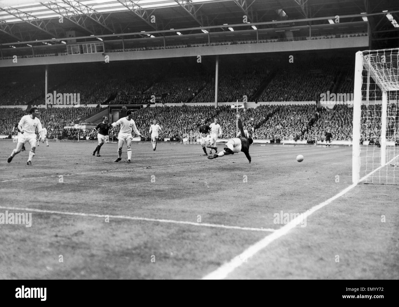 Fa Cup Leicester V Manchester United : Leicester City V Manchester