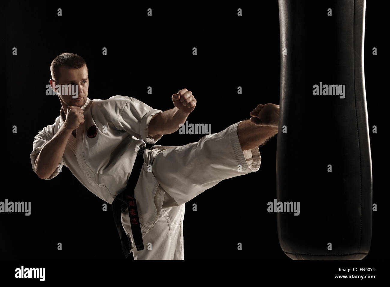 Karate round kick in a punching bag Stock Photo Alamy