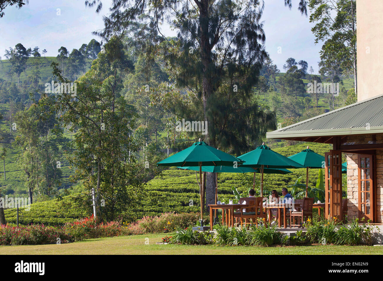 Norwood Bungalow at the Dilmah Tea Estate: the terrace restaurant with a view over the tea plantations Stock Photo