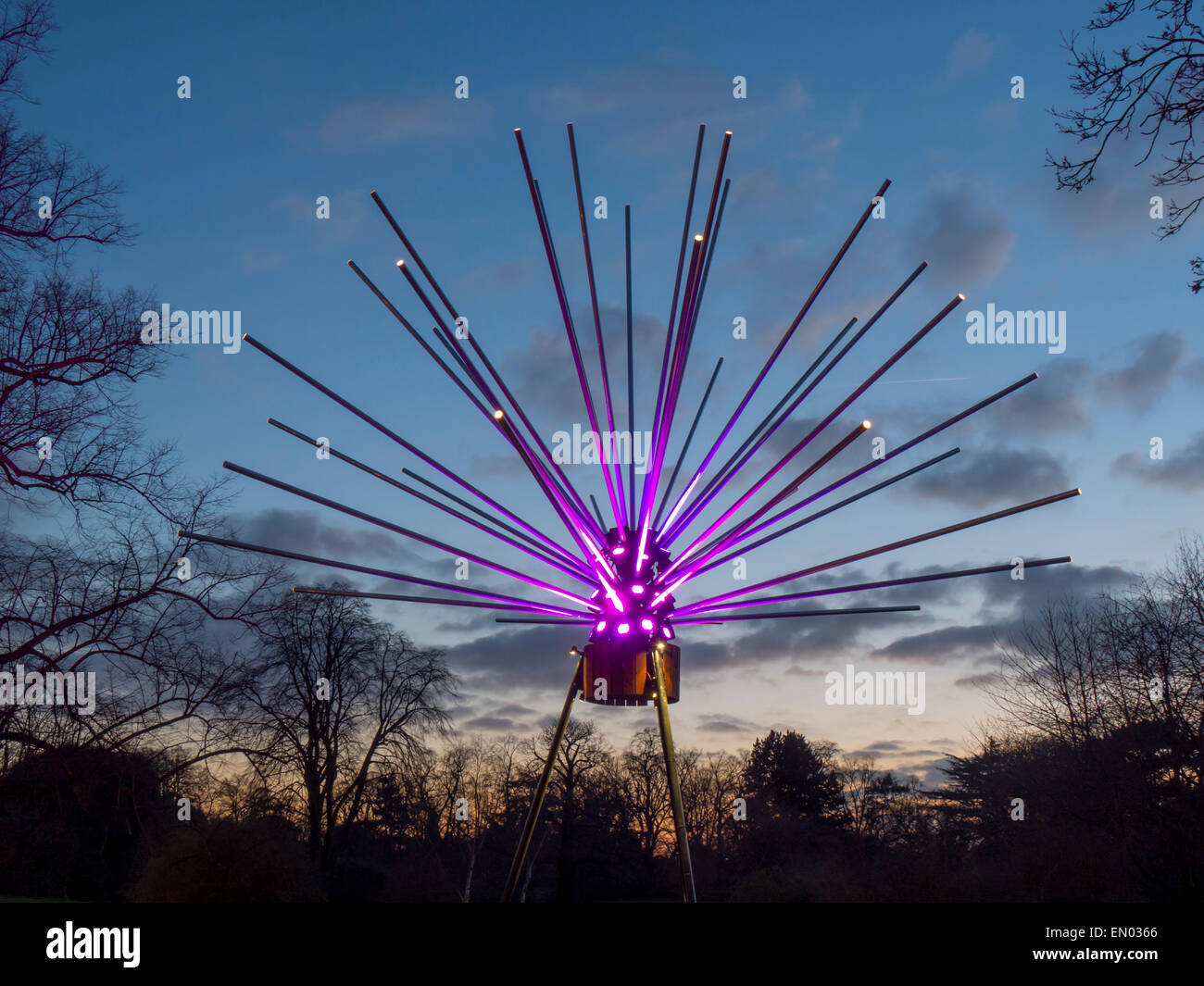 Europe, UK, England, London, Kew Gardens Christmas lights Stock Photo