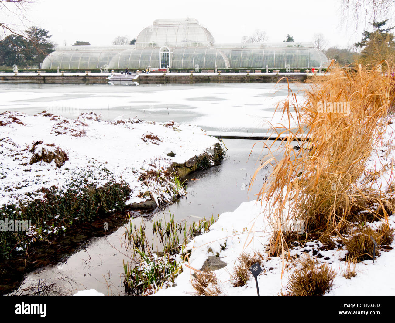 Kew Gardens Winter Hi res Stock Photography And Images Alamy kew-gardens-winter-hi-res-stock-photography-and-images-alamy