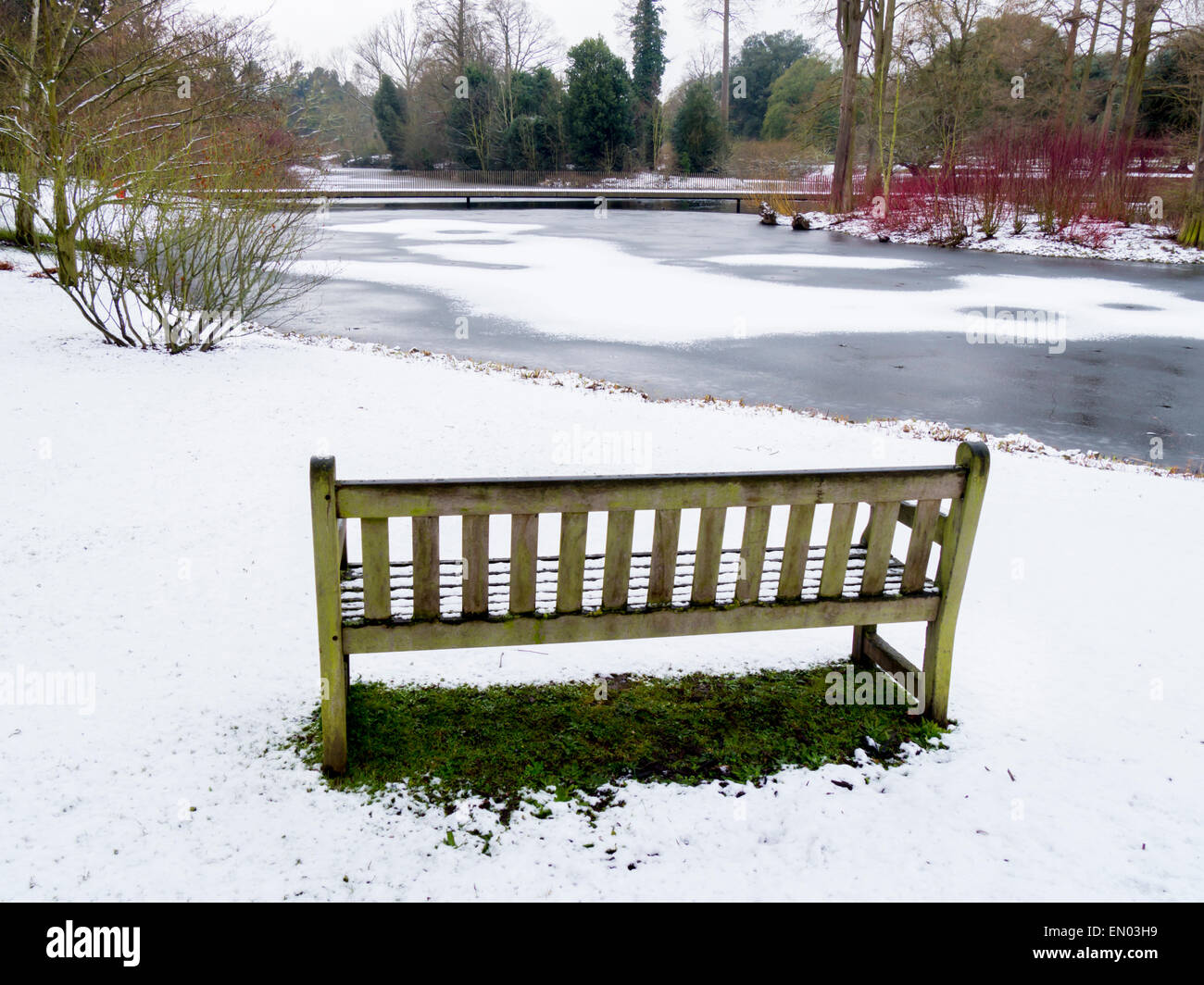 Global Warming Londons Kew Gardens Offers A Breathtaking Solution - w7epezm