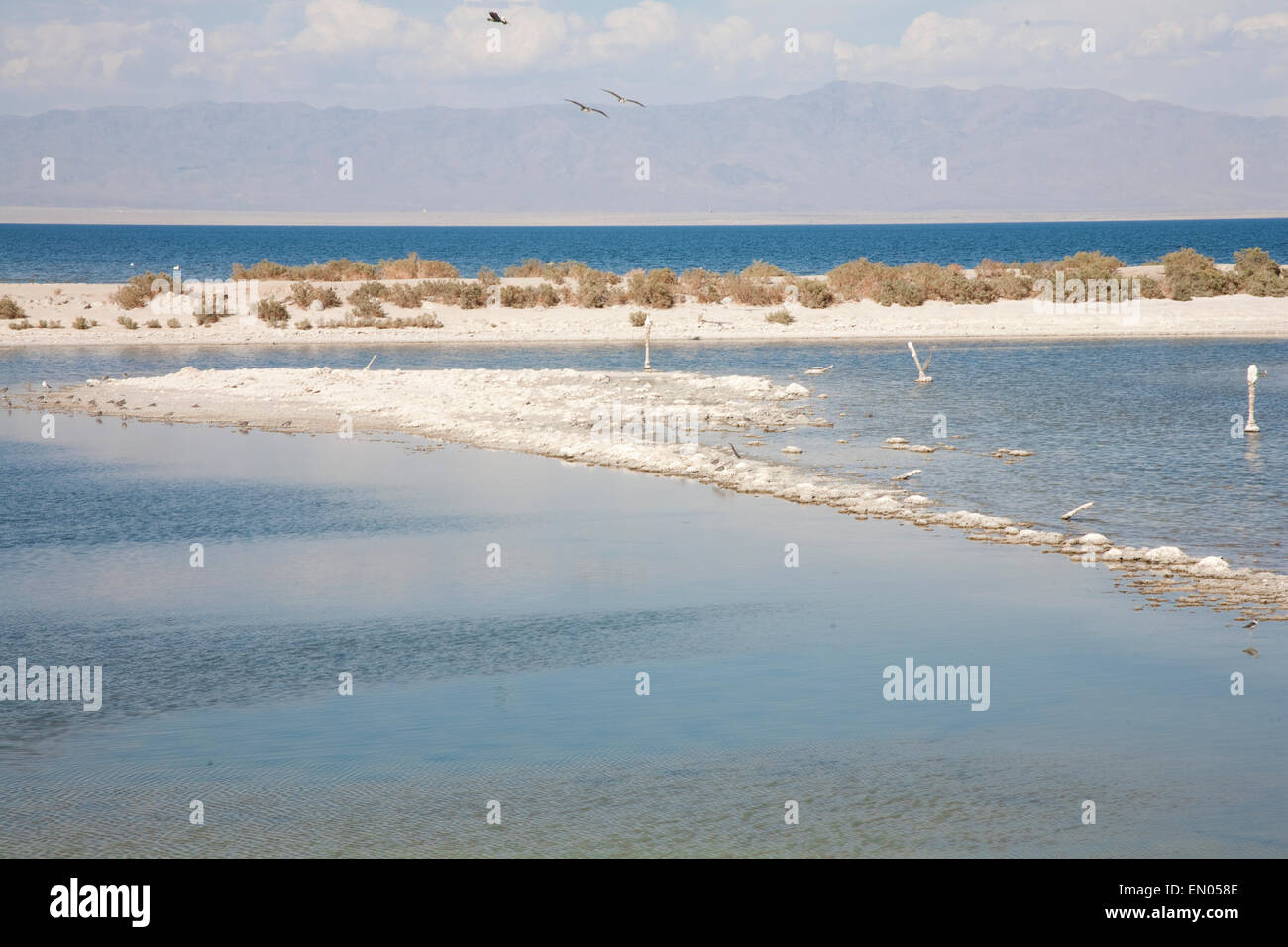 From a glance, the Salton Sea Beach looks just like any other beautiful