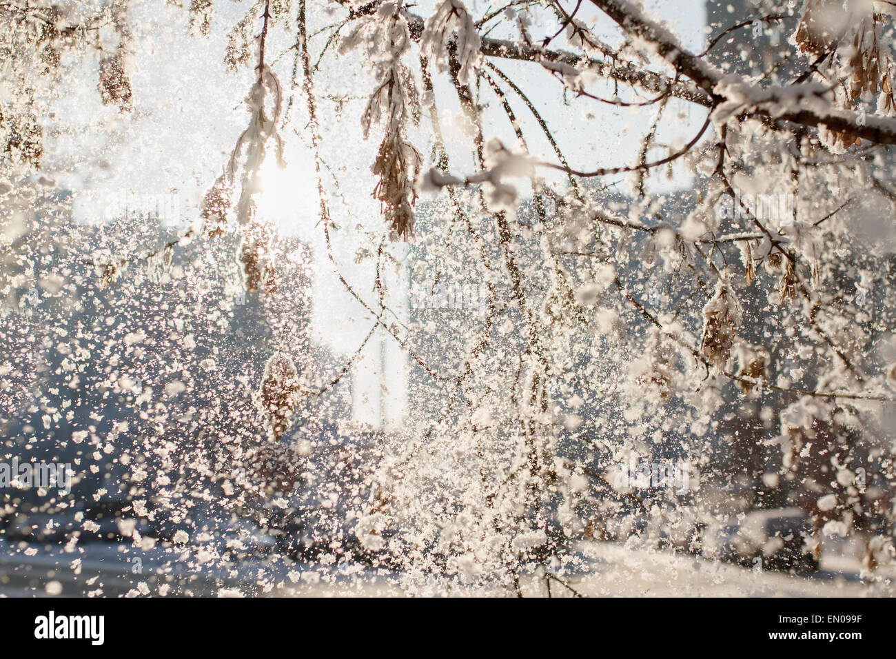 Snowfall background hi-res stock photography and images - Alamy