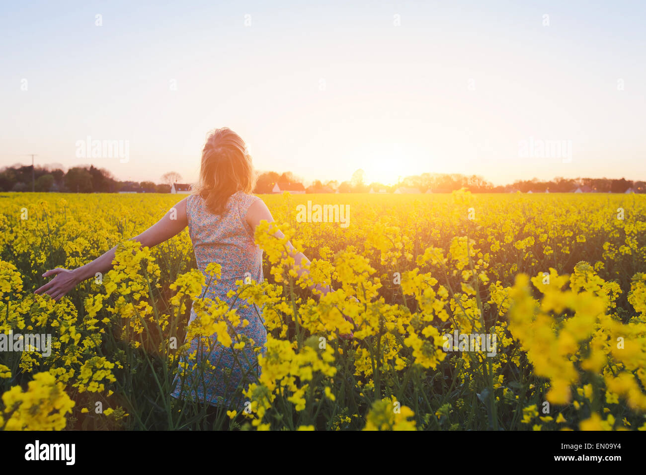 happy young woman enjoying summer in yellow field at sunset Stock Photo
