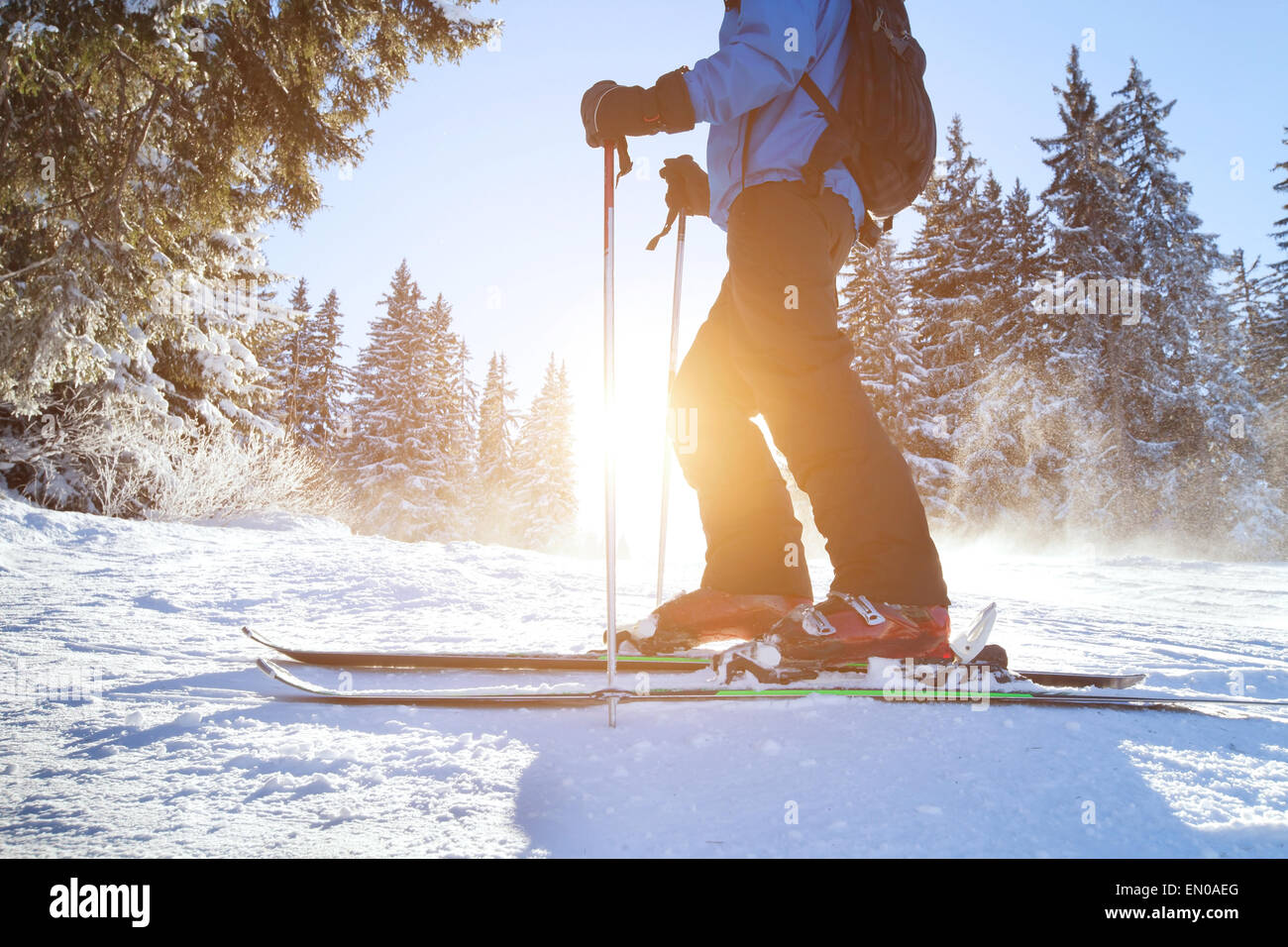 skiing Stock Photo