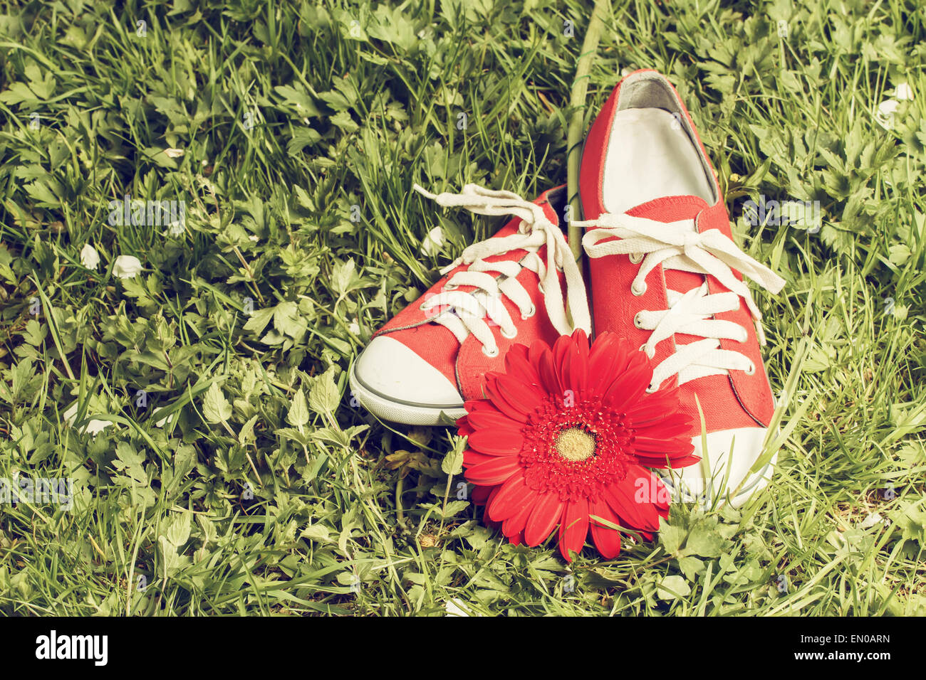 Flowers Tooled Sneakers
