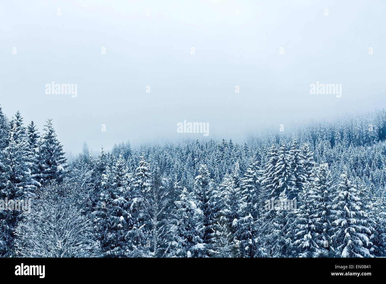beautiful winter landscape Stock Photo