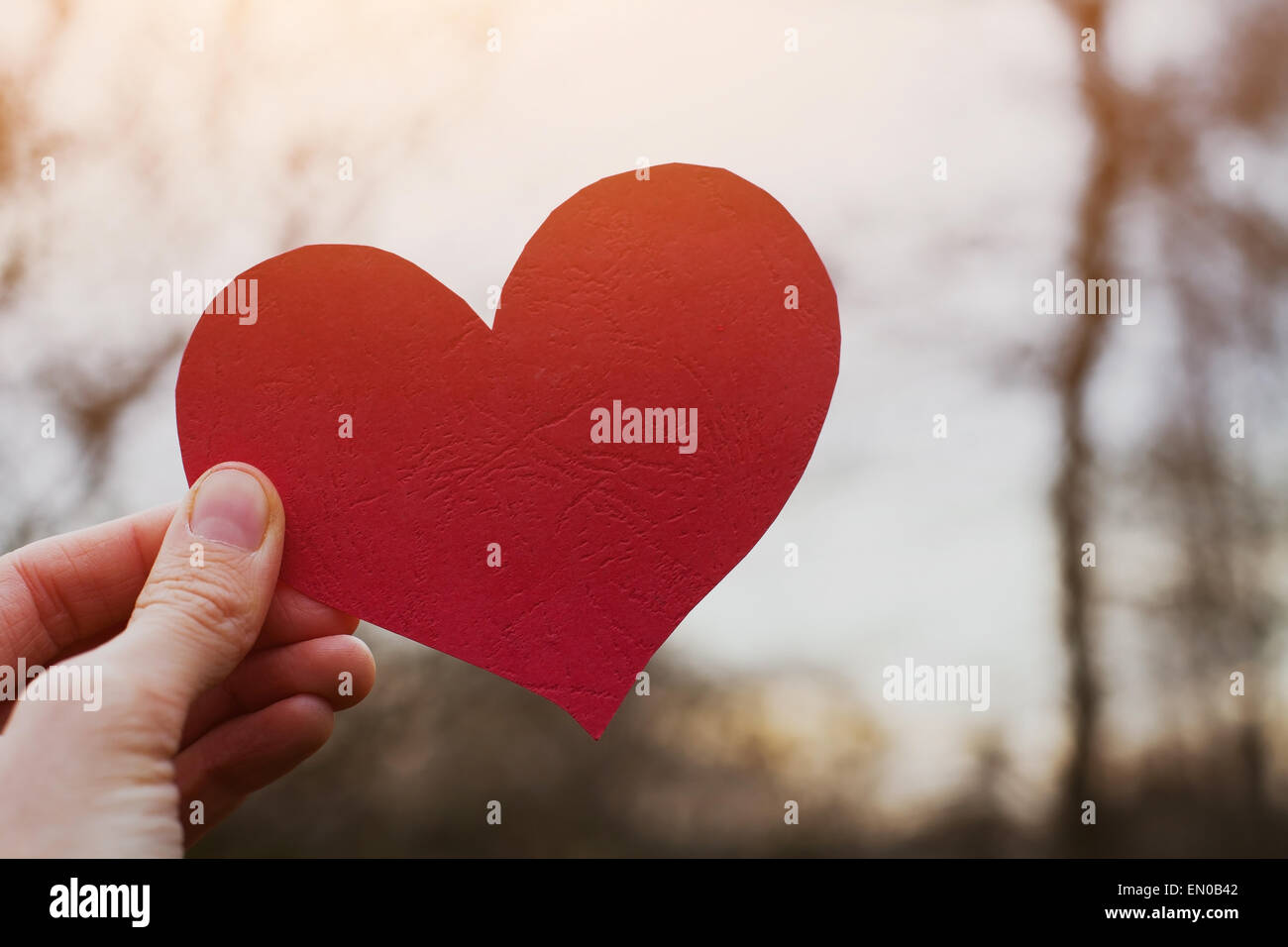 valentines day card, hand holding heart Stock Photo