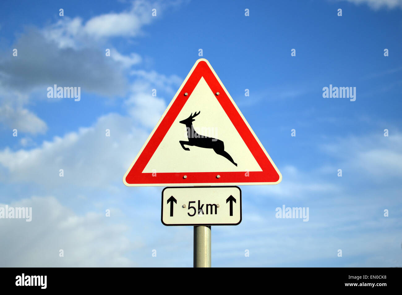Warning sign for deer in the next 5 kilometers Stock Photo