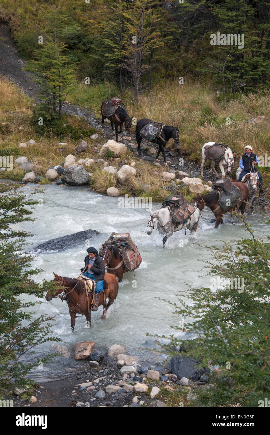 Horse-riding expedition in the Torres del Paine National Park, Patagonia, Chile Stock Photo
