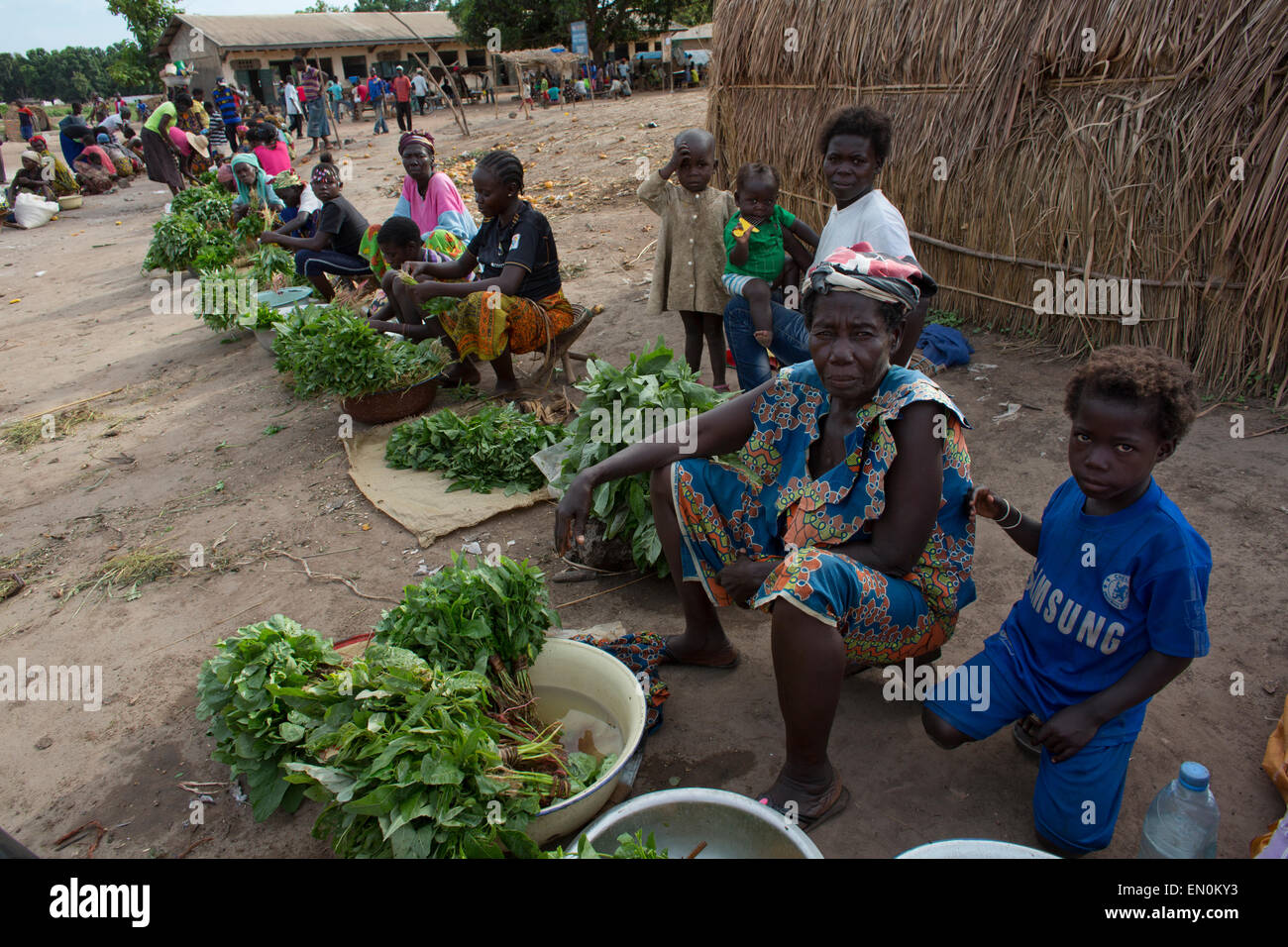 food market in Central African Republic Stock Photo - Alamy
