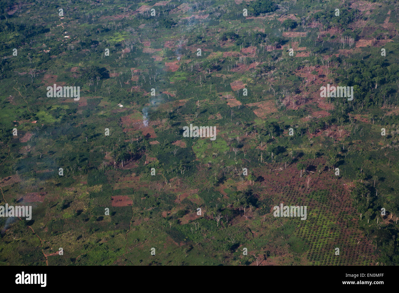 deforestation in Africa Stock Photo