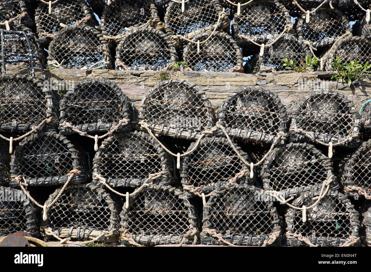 Lobster and crab pots Stock Photo Alamy