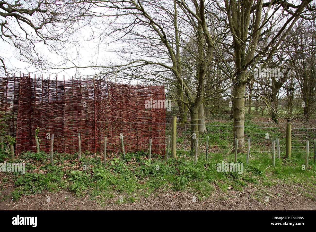 Duke and Duchess of Cambridge privacy . . Anmer, Norfolk, UK . . 22.04.2015 The Duke and Duchess of Cambridge, Prince William and Kate Middleton, have stepped up their plans for privacy at Anmer Hall by having willow screens put up all around the grounds to stop any prying eyes. Anmer Hall can just be seen to the left of the start of the screens if you look very closely. © Paul Marriott Photography Stock Photo