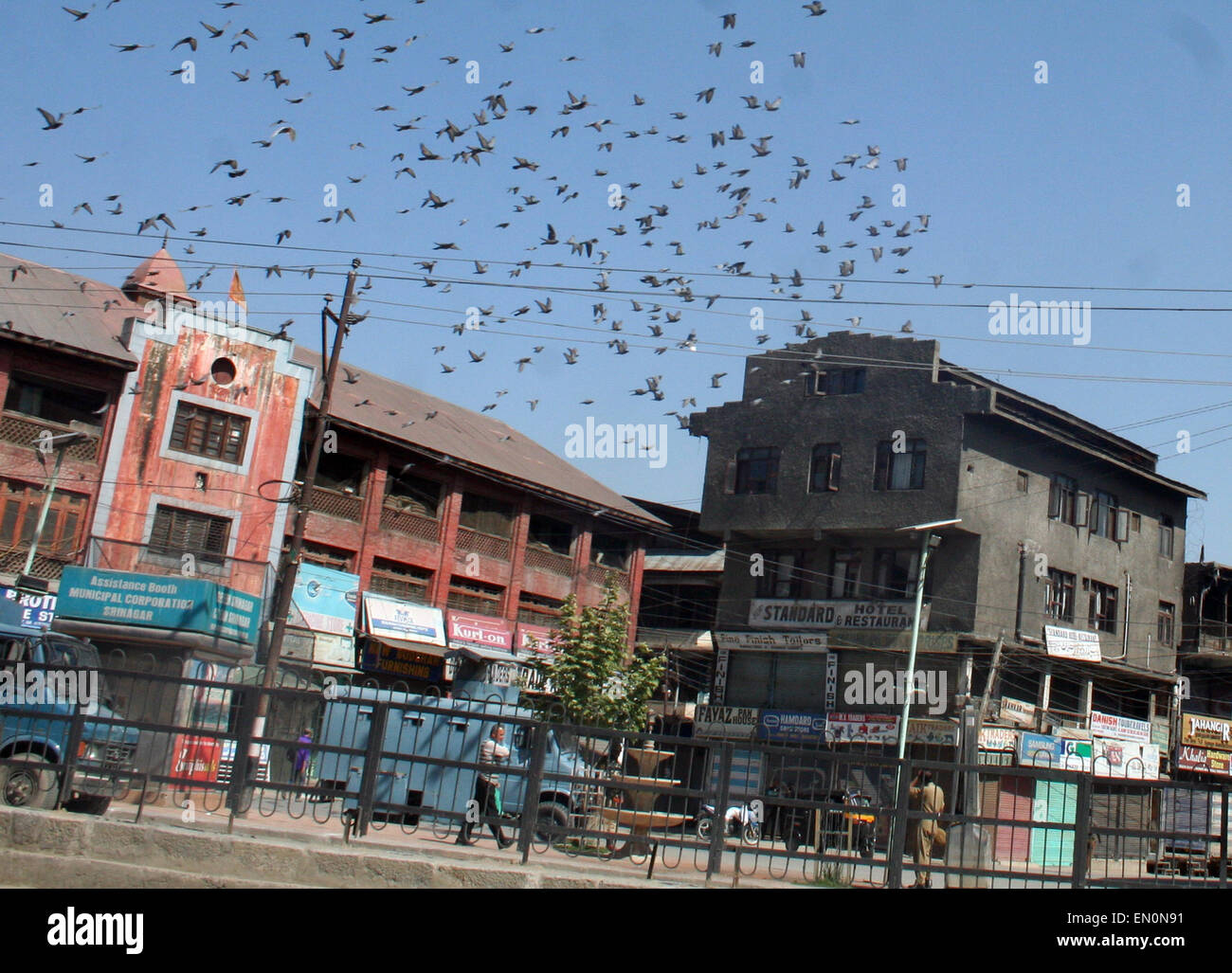 Srinagar, Indian Administered Kashmir: 25April . Piegons flies over sky early morning during Strike Separatist leaders in Kashmir have called a shutdown in the Valley to protest against the detention of hardliner Masarat Alam Bhat under the Public Safety Act (PSA), Masarat Alam, who was released from jail only last month, could be kept in detention for two years without any trial.Masarat Alam's police custody ends today His release by the new PDP-BJP government in Jammu and Kashmir had triggered a huge controversy. Credit:  sofi suhail/Alamy Live News Stock Photo
