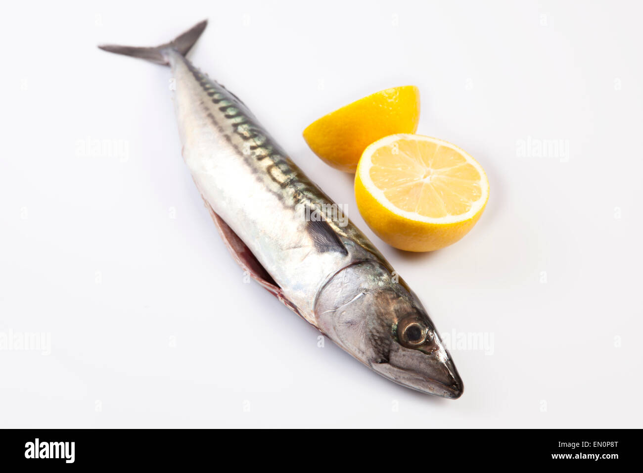 Scrombrus hi-res stock photography and images - Alamy