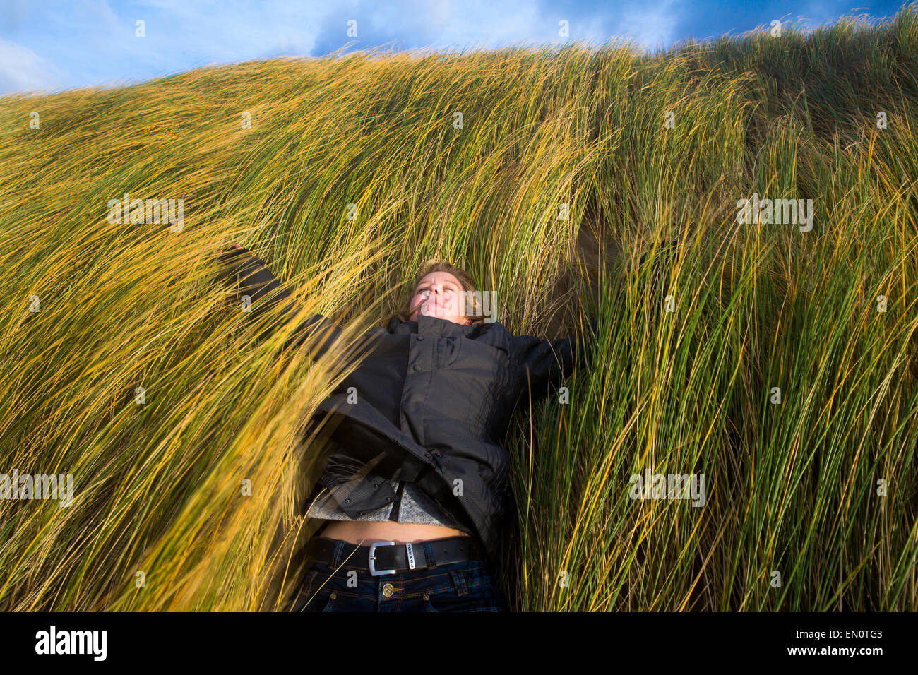 marram grass protects the dutch sand dunes Stock Photo